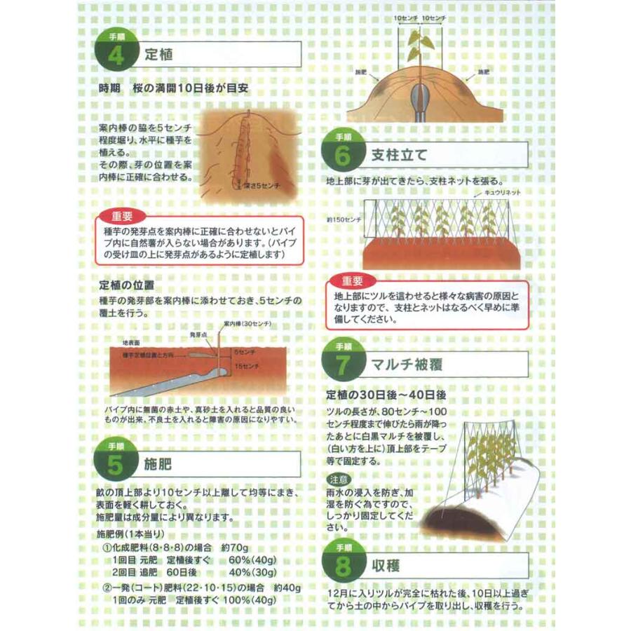 繰り返し使える 10本 クレバーパイプ 自然薯用 135cm 連作可能 自然薯栽培器 自然薯 じねんじょ 山芋 ヤマイモ 栽培 畑 家庭菜園 政田自然農園 タS DZ |  | 03