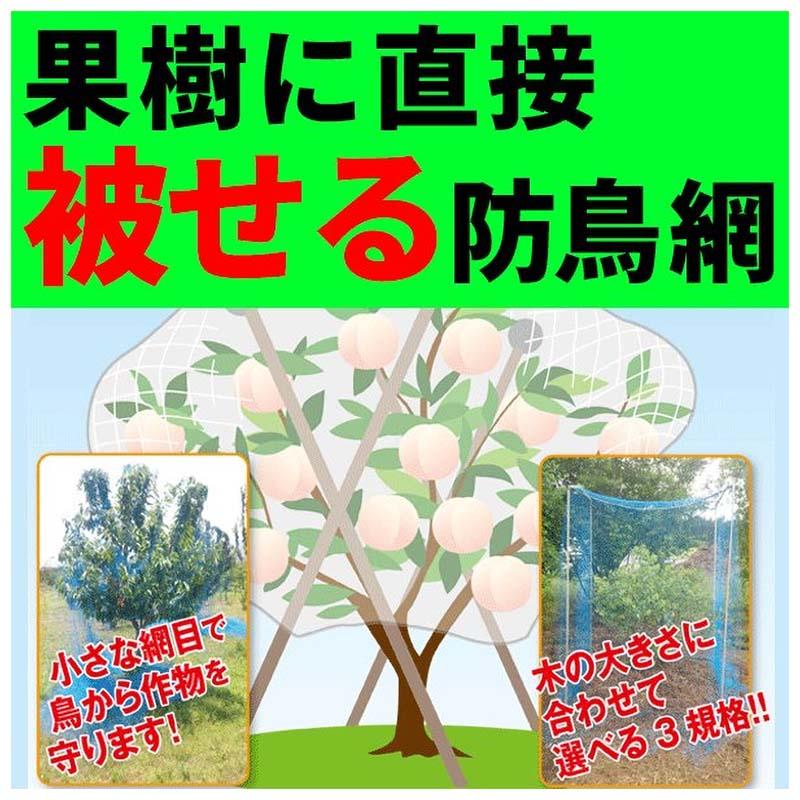 果樹用 直がけ 防鳥網 6×6m 20mm 目合 木に被せる防鳥網 直掛け 日本