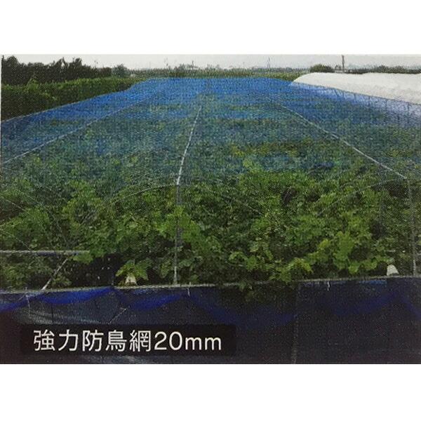 果樹用 直がけ 防鳥網 6×6m 20mm 目合 木に被せる防鳥網 直掛け 日本マタイ DZ |  | 04