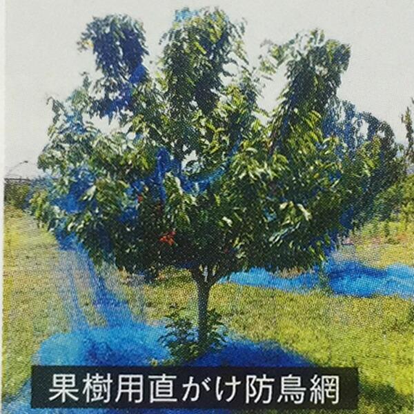 果樹用 直がけ 防鳥網 9×9m 20mm 目合 木に被せる防鳥網 直掛け 日本マタイ DZ |  | 03