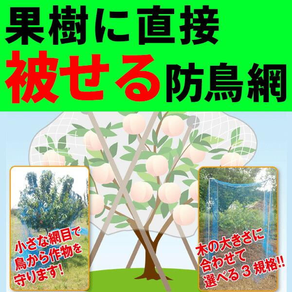 果樹用 直がけ 防鳥網 12×12m 20mm 目合 木に被せる防鳥網 直掛け 日本マタイ DZ |  | 01