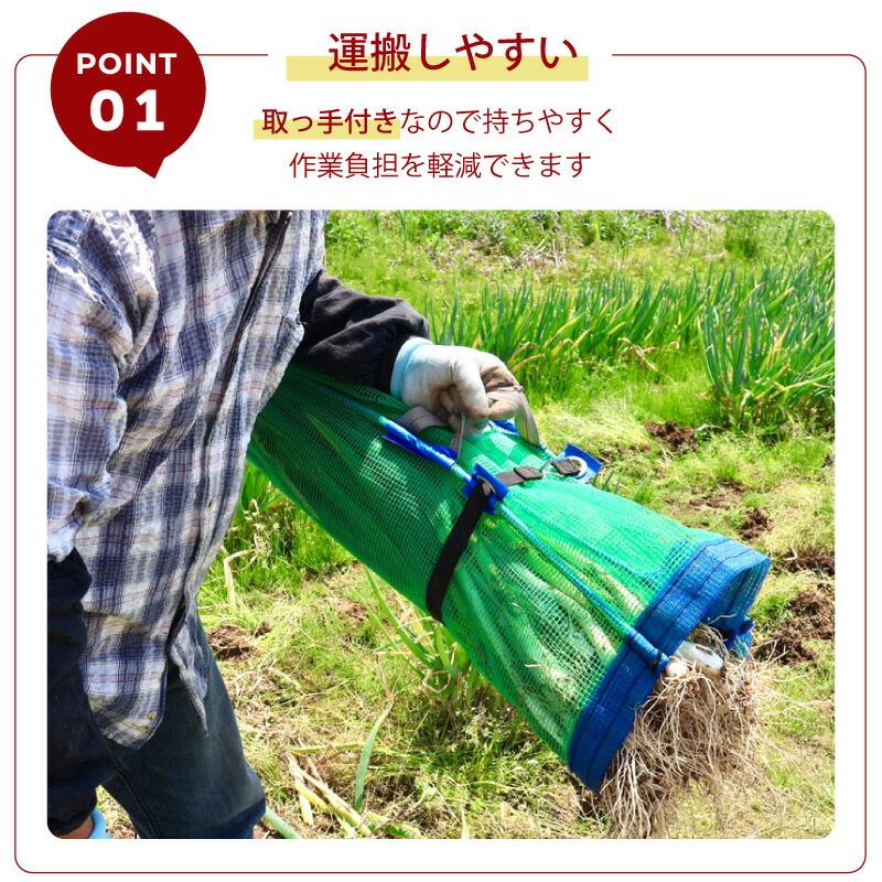 1枚 ネギマキネット Lタイプ 60×125cm ネギ 枝豆 花 収穫ネット ねぎ 葱 収穫 運搬 保管 ネギ巻き ねぎまき ねぎ巻き ネット シート 農業資材 日本マタイ DZ |  | 02