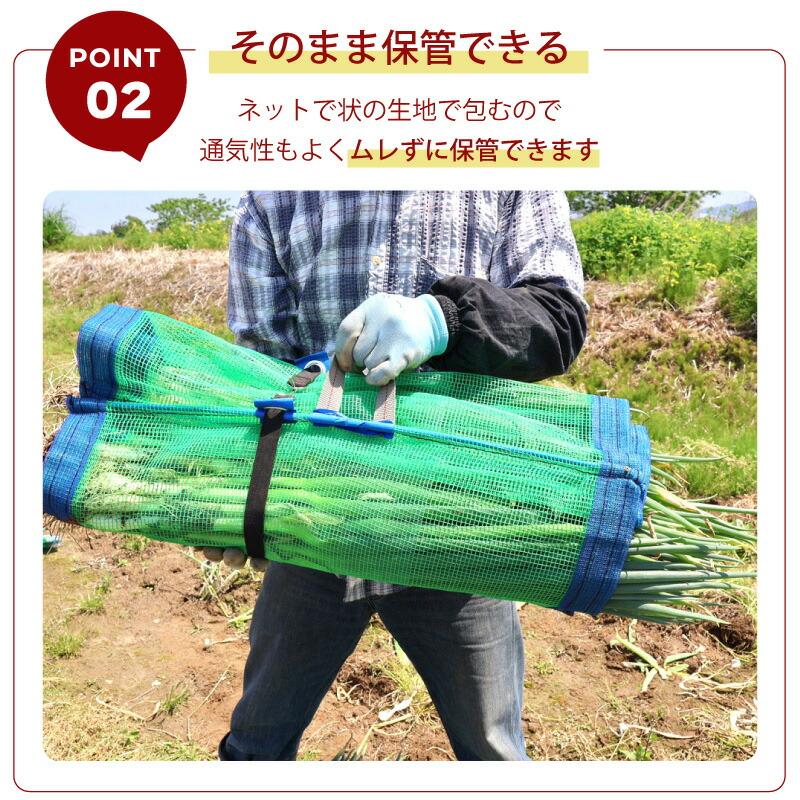 1枚 ネギマキネット Lタイプ 60×125cm ネギ 枝豆 花 収穫ネット ねぎ 葱 収穫 運搬 保管 ネギ巻き ねぎまき ねぎ巻き ネット シート 農業資材 日本マタイ DZ |  | 03