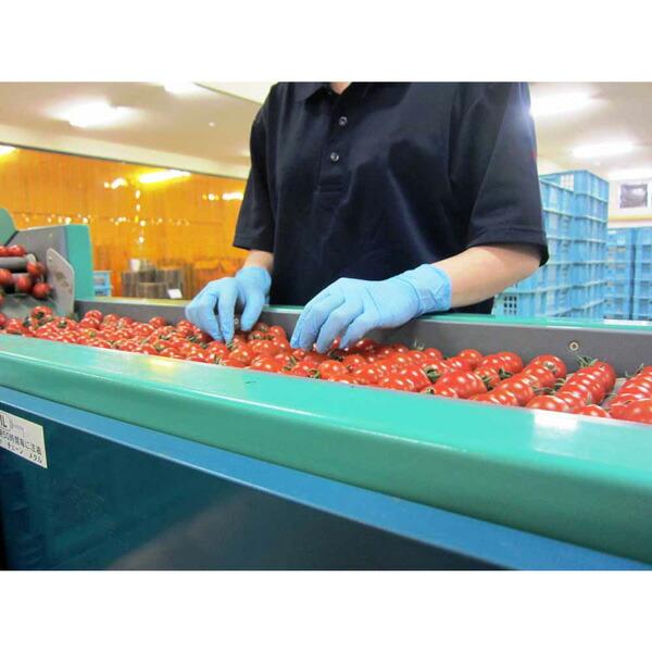 ニトリスト・タッチ 100枚入 ブルー LLサイズ ショーワグローブ 三カD |  | 01