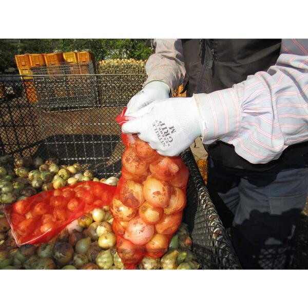 組立グリップ(10双入) Lサイズ No.370 ショーワグローブ 三カD |  | 02