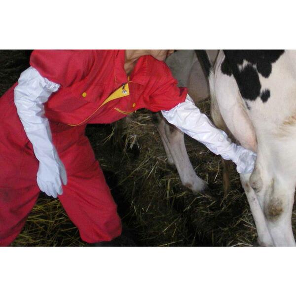 腕カバー付薄手 (5双入) Mサイズ No240 ショーワグローブ 作業用手袋 三カD |  | 02