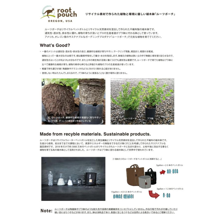 25個 ルーツポーチ Root Pouch #1 Black 持手なし W15cm H19cm 約 3.8L 生分解性タイプ 不織布 鉢 植木鉢 おしゃれ お洒落 オシャレ 三冨D |  | 02