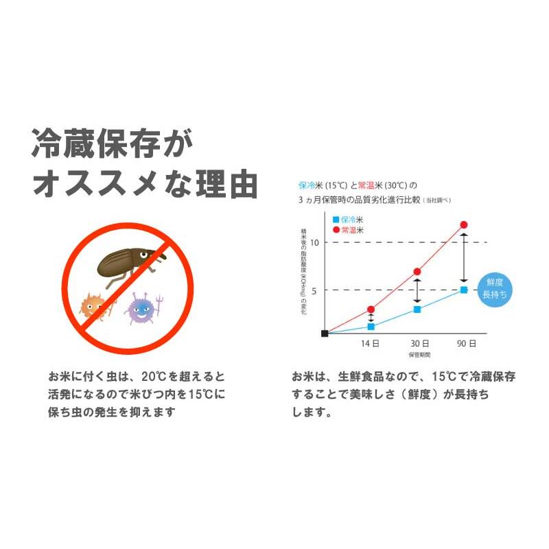 ＼1年保証付／ 国産 保冷米びつ 30kg 愛妻庫 KSX-31 保冷 米びつ 米櫃 こめびつ お米 スリム 日本産 日本製 おしゃれ シンプル 冷蔵 30キロ 静岡製機 DZ｜plusys｜05