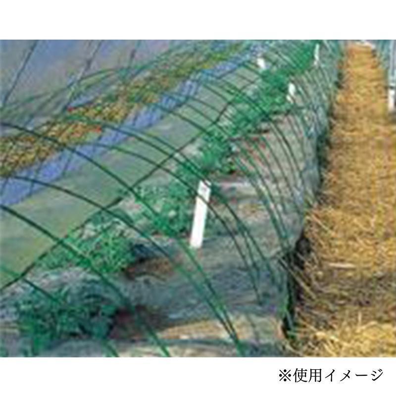 10本 グラスファイバーポール FRPポール 青 直径5.5mm×1.5m トンネル支柱 トンネル 支柱 農業資材 農業 園芸 家庭菜園 野菜 畑 シN DZ | SHINSEI | 03