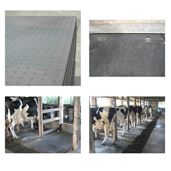 酪農マット 25mm厚×幅1400mm×長さ2m 片面イボ付き 牛舎 に 魚瀬ゴム 個人宅配送不可 代引不可 |  | 01