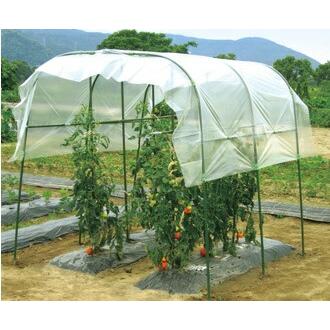 4個 1.9×1.8m 家庭菜園 雨よけセット ワイド 間口約190cm 第一ビニール 第B 代引不可 | 