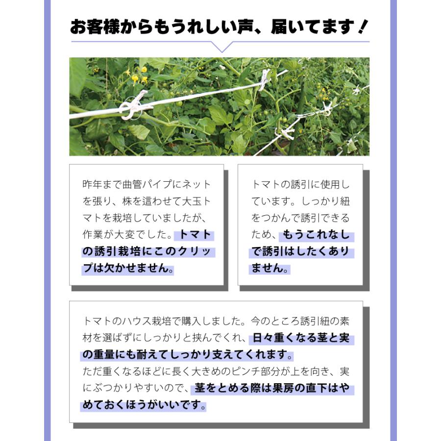 200個 くきたっちアルファ パープル KA-P200 細紐用 紐誘引クリップ 誘引クリップ 誘引資材 誘引器具 誘引 紐 ひも 横紐 縦紐 対応トマト 栽培 シーム タS DZ |  | 02