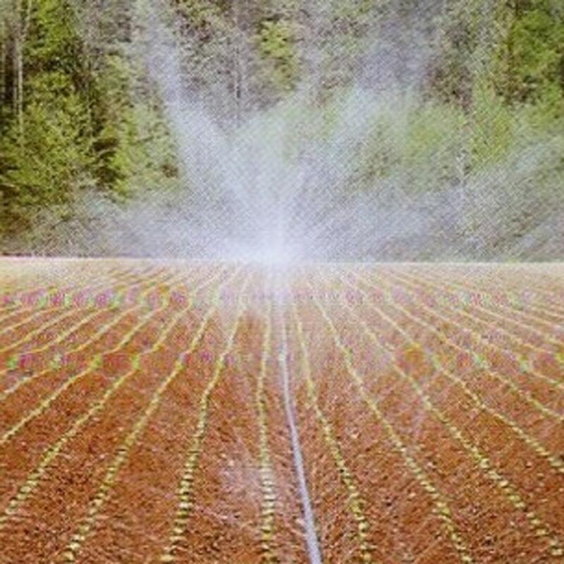 スミレイン40 110m 住化農業 カ施 個人宅配送不可 代引不可 | 