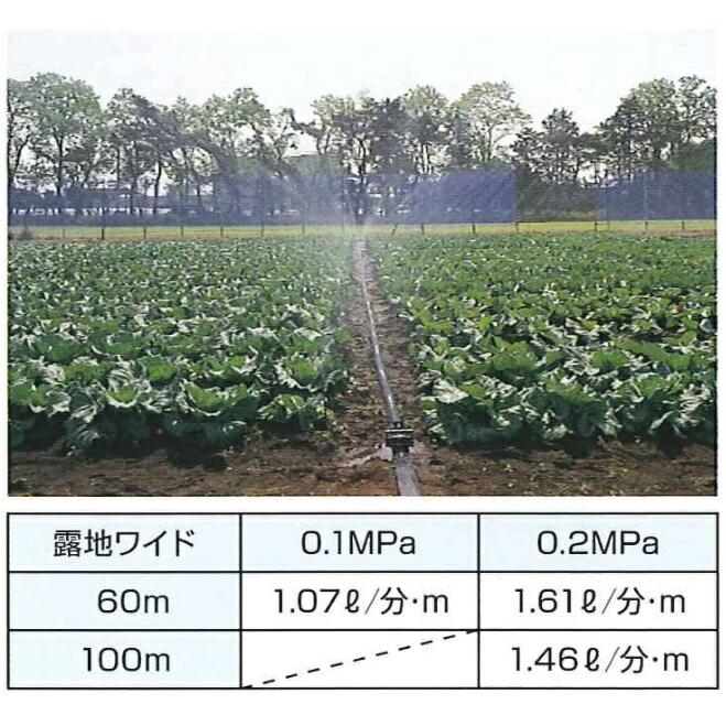 2巻 灌水チューブ スミサンスイR露地ワイド 100m 住化農業 カ施 代引不可 |  | 02