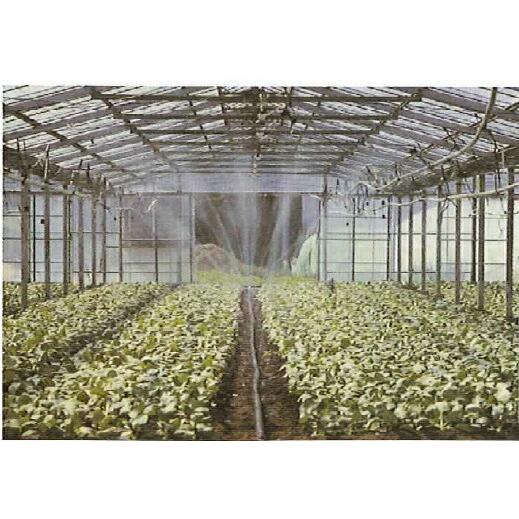 2巻 スミサンスイRハウスワイド 100m 住化農業 カ施 代引不可 |  | 02