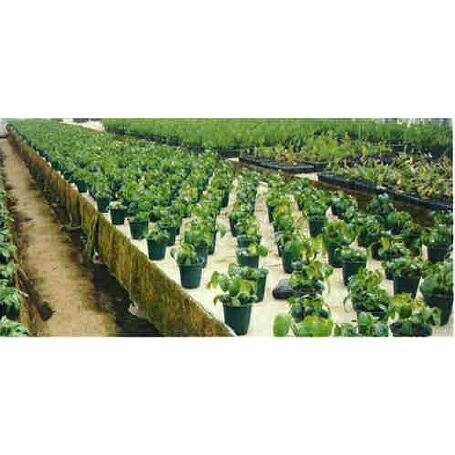 ジャームガード 厚み2mm×幅100cm×長さ50m 水耕用不織布 東洋紡 TOYOBO カ施 代引不可 |  | 01