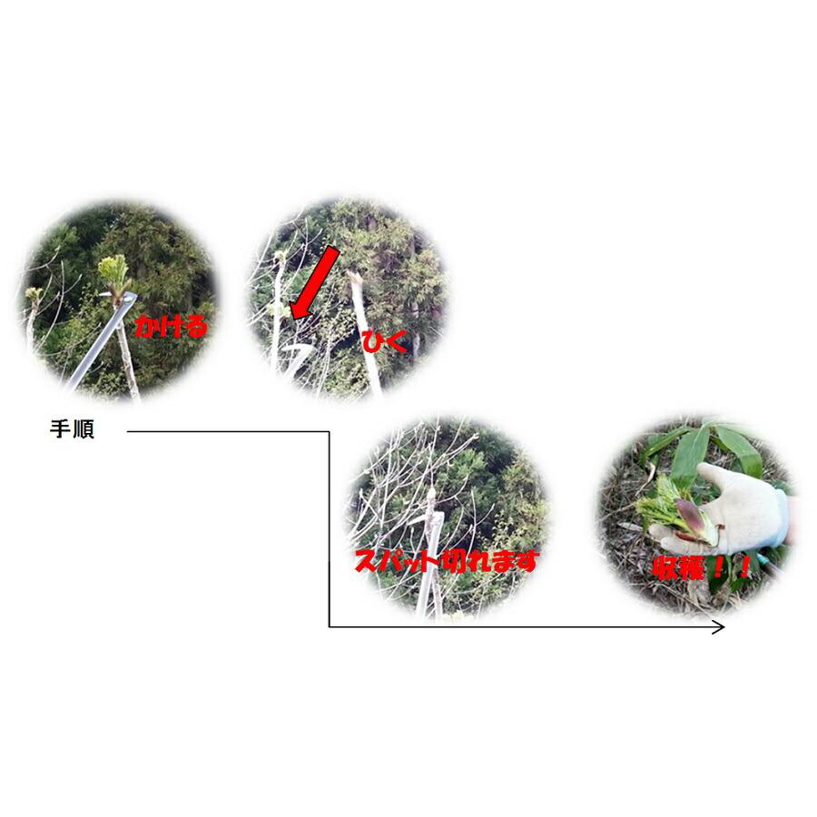 伸縮式山菜きのこ鎌 SKK-01 95cmから170cm フTD |  | 03