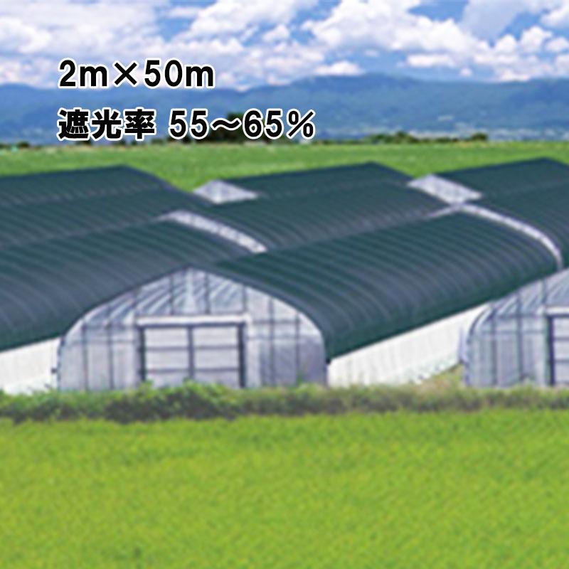 2m×50m 黒 遮光率55〜65％ ワイドスクリーン 遮光ネット BK1008 寒冷紗 遮光 ネット ビニールハウス 日本ワイドクロス タS 代引不可 | 