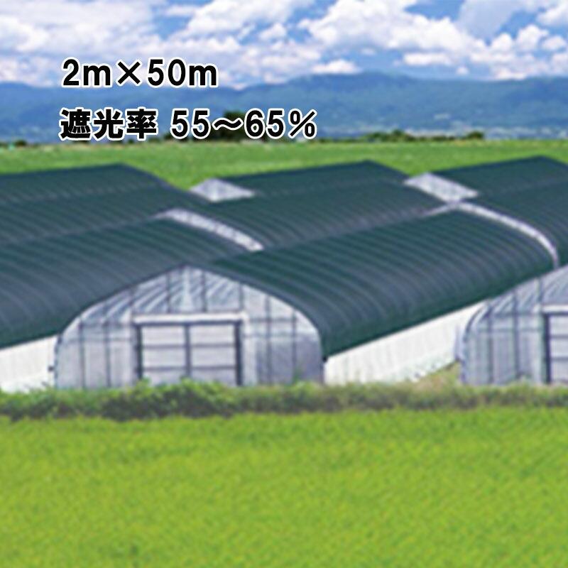 2m×50m 黒 遮光率55〜65％ ワイドスクリーン 遮光ネット BK1208 寒冷紗 遮光 ネット ビニールハウス 日本ワイドクロス タS 代引不可 | 