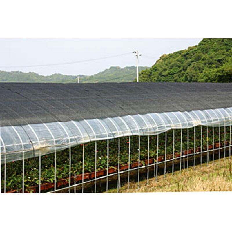 2m×50m 黒 遮光率約50％ ワイドラッセル遮光ネット FE 5 寒冷紗 日本ワイドクロス サT 代引不可 |  | 01