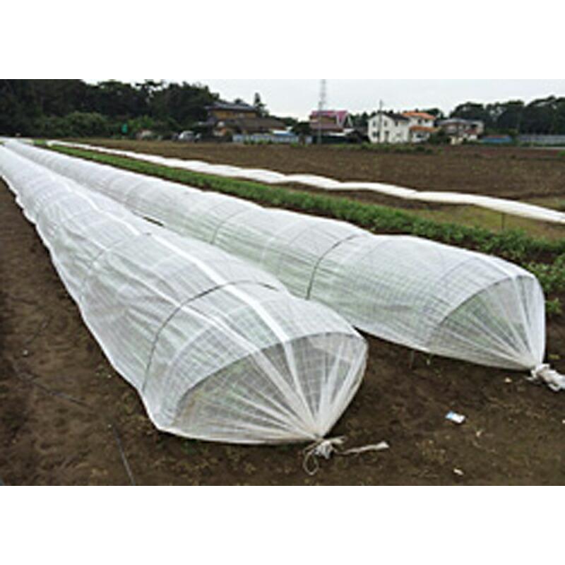 2m×100m 白 遮光率40〜45％ ダイオネット白天 遮光ネット DS40 寒冷紗 ダイオ化成 イノベックス サT 北海道不可 個人宅配送不可 代引不可 |  | 01