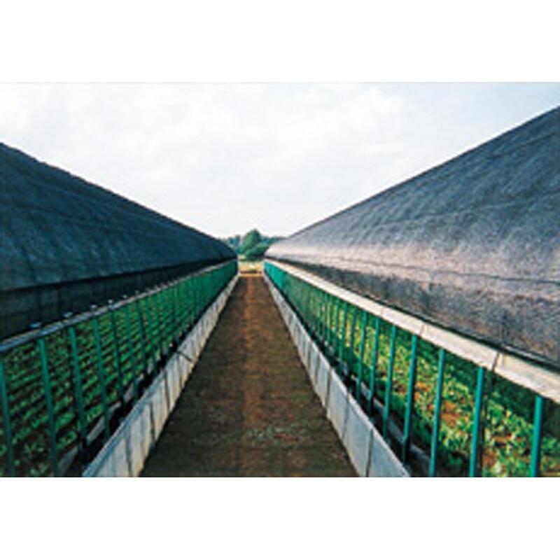 2m×50m 黒 遮光率60〜65％ ダイオシート 遮光ネット 8号 寒冷紗 イノベックス サT 北海道不可 個人宅配送不可 代引不可 |  | 01