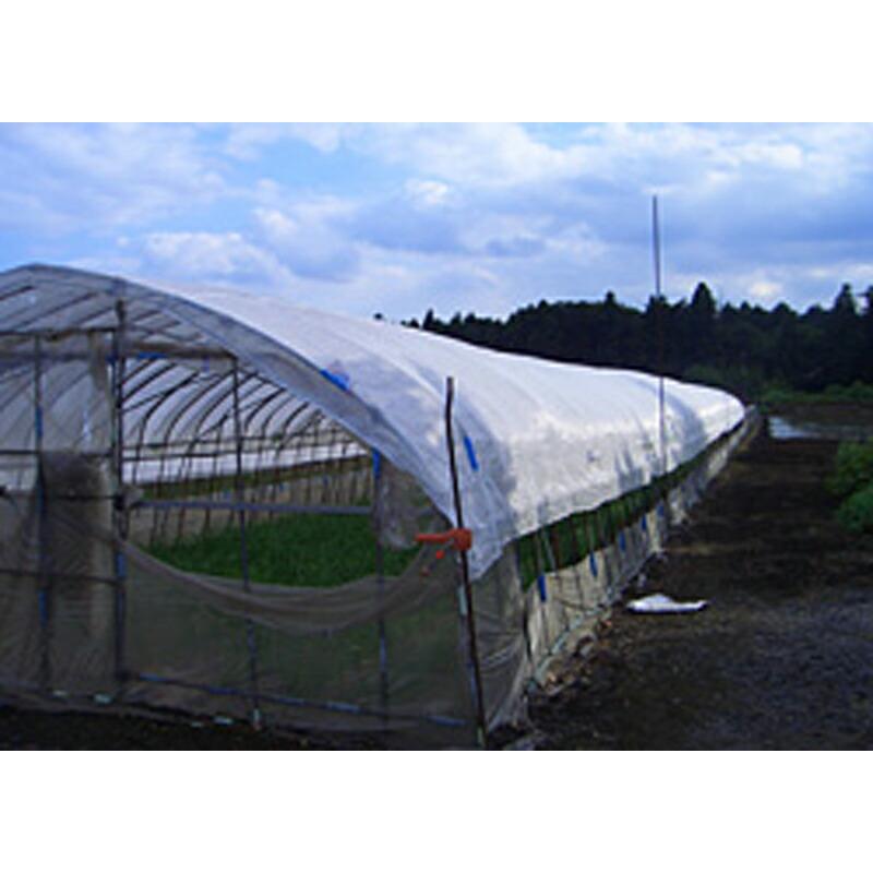 2m×50m 白 遮光率35〜40％ ダイオクールホワイト 遮光ネット 520SW 寒冷紗 イノベックス サT 北海道不可 個人宅配送不可 代引不可 |  | 01