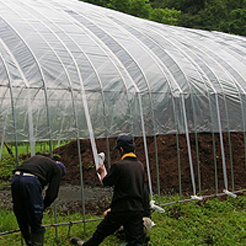10個 キョージンバンド No.302 ハウス用 白 500m×15mm 6本×5芯 中部農材 ビニールハウス 用 バンド タS D |  | 02