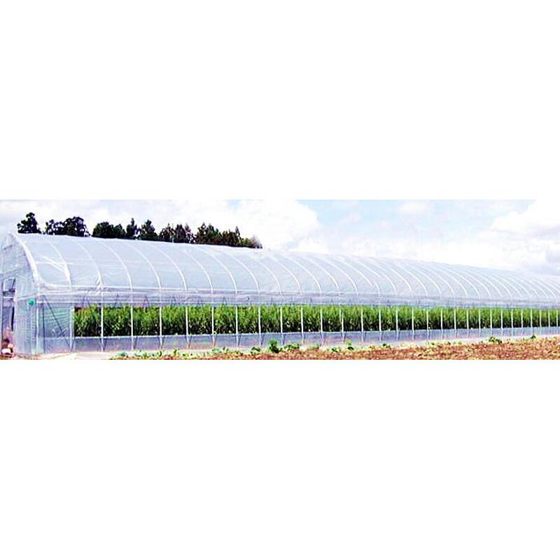 20個 シンエース H-2040 黒 200m×10mm 20本×2芯 ビニールハウス 用 バンド 東京戸張 個人宅配送不可 代引不可 |  | 01