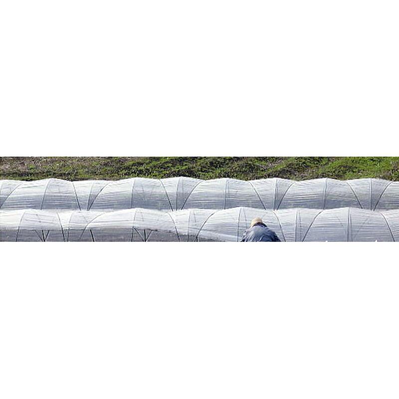10個 シンエース S-5100 黒 300m×15mm 20本×5芯 3.4kg ビニールハウス 用 バンド 東京戸張 個人宅配送不可 代引不可 |  | 01