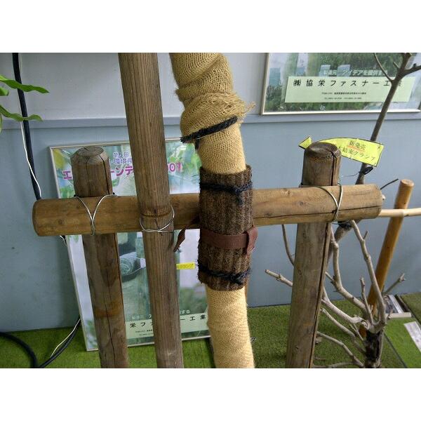 200個 添木結束クランプ 支柱・横木直径 65mm 用 AM2522-65N 協F 代引