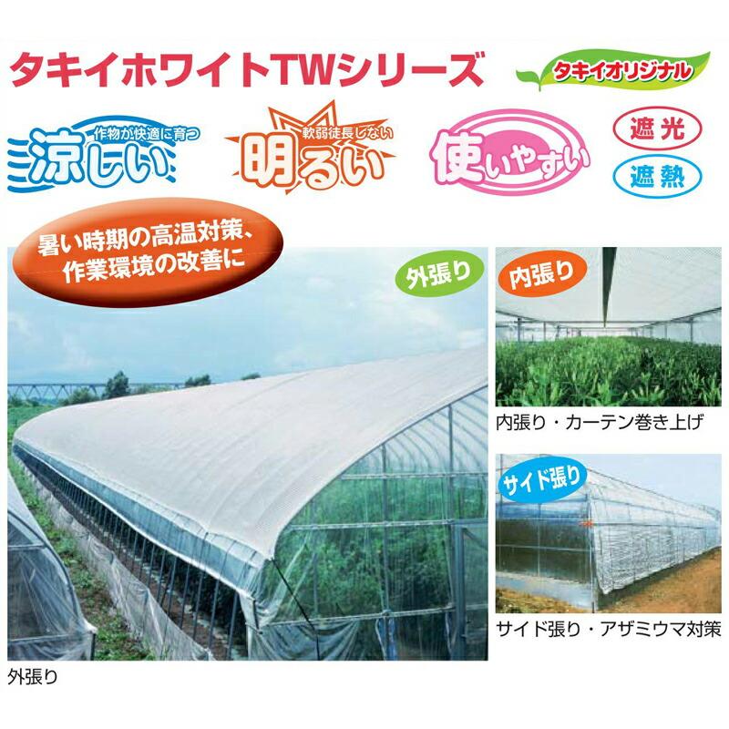 2m×100m 白 遮光率60〜65％ タキイホワイトTW 遮光ネット TW65 寒冷紗 タキイ種苗 代引不可 |  | 02