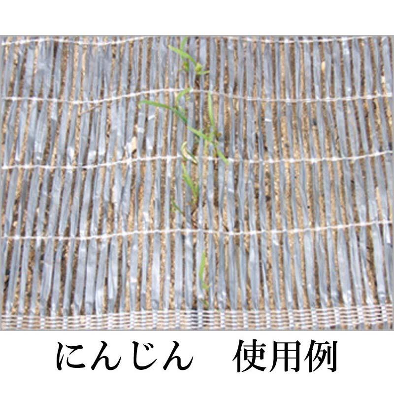 1m×100m シルバー 芽出たいシート 遮光ネット S1606 遮光率約60％ 寒冷紗 タキイ種苗 代引不可 |  | 02
