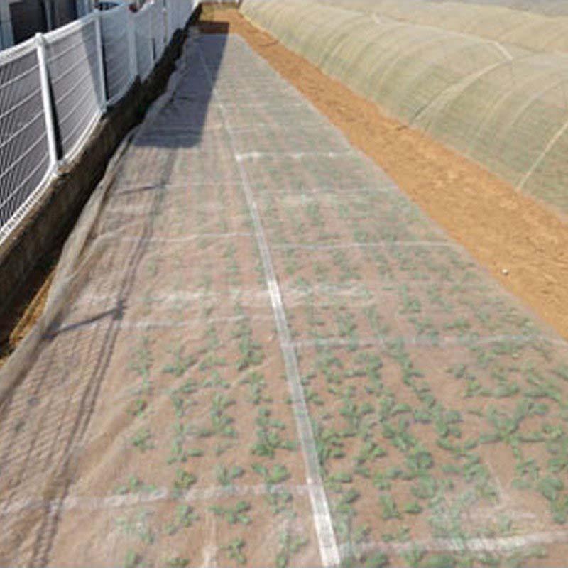 3m×100m 白 遮光率約5％ ワリフ 遮光ネット HS-3000 寒冷紗 JX ANCI タS 代引不可 |  | 02