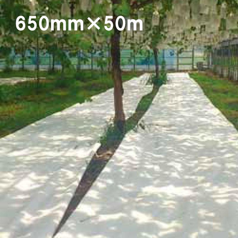 650mm×50m 白 てるてる 遮光ネット 寒冷紗 JX ANCI サT 代引不可 | 