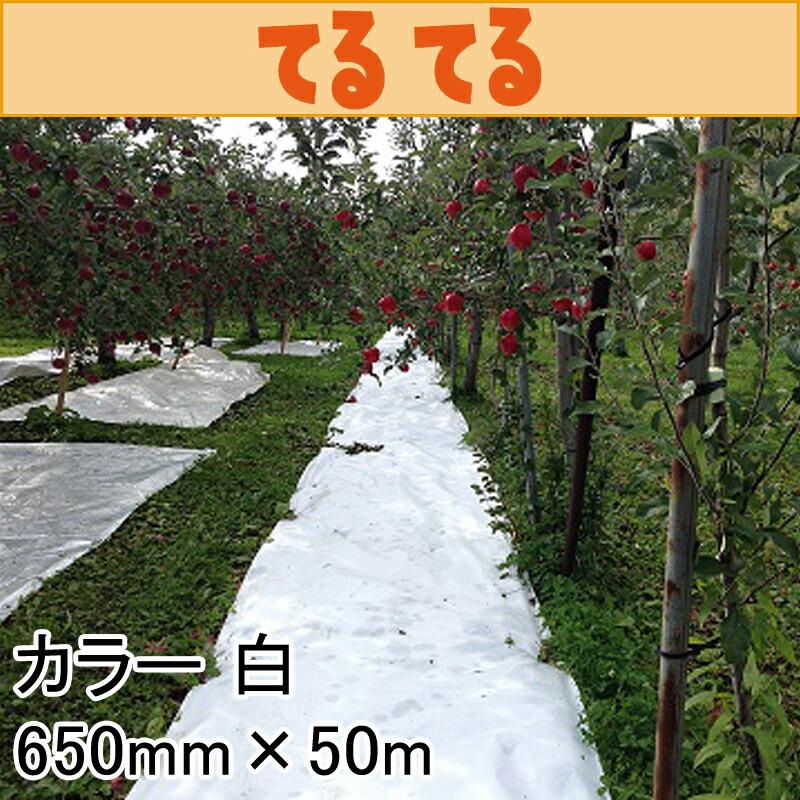 650mm×50m 白 てるてる 遮光ネット 寒冷紗 JX ANCI サT 代引不可 |  | 01