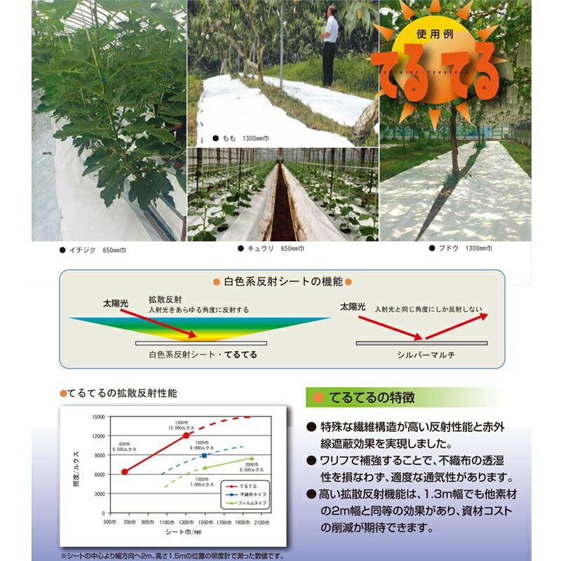 650mm×50m 白 てるてる 遮光ネット 寒冷紗 JX ANCI サT 代引不可 |  | 03