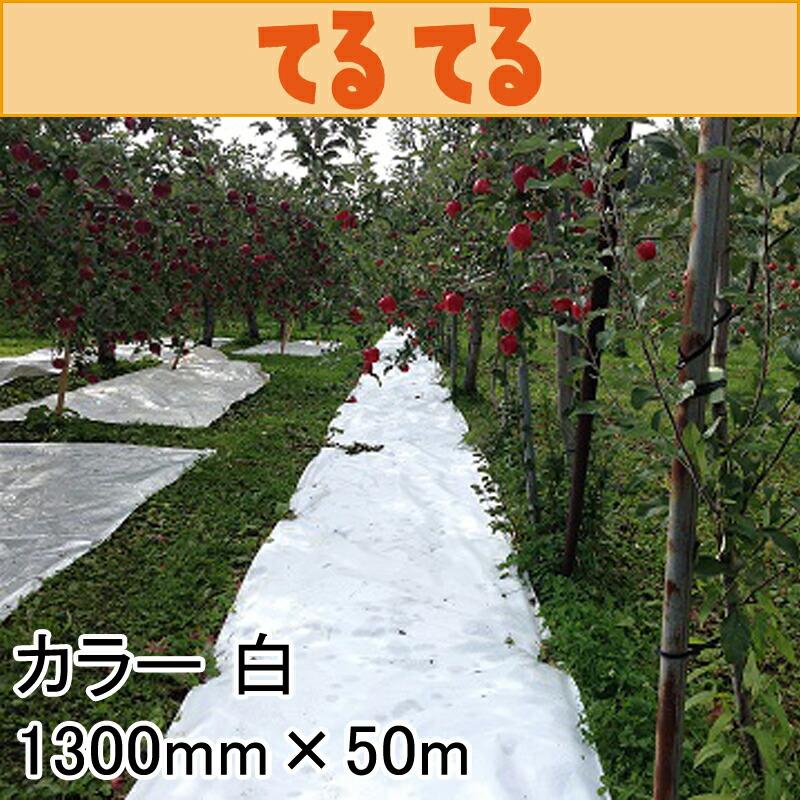 1300mm×50m 白 てるてる 遮光ネット 寒冷紗 JX ANCI サT 代引不可 |  | 01