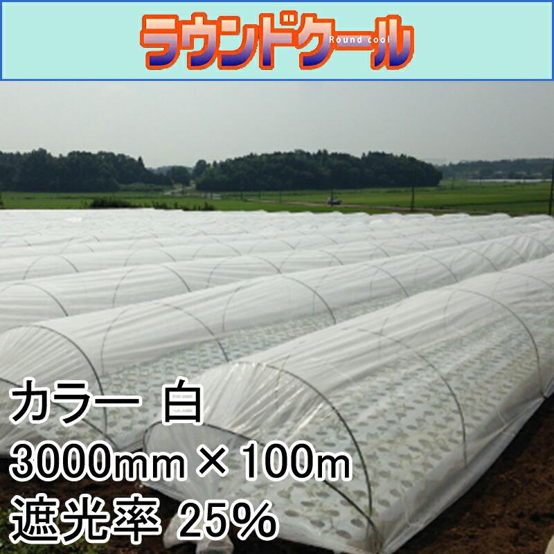 3000mm×100m 白 遮光率25％ ラウンドクール 遮光ネット 寒冷紗 JX ANCI タS 代引不可 |  | 01