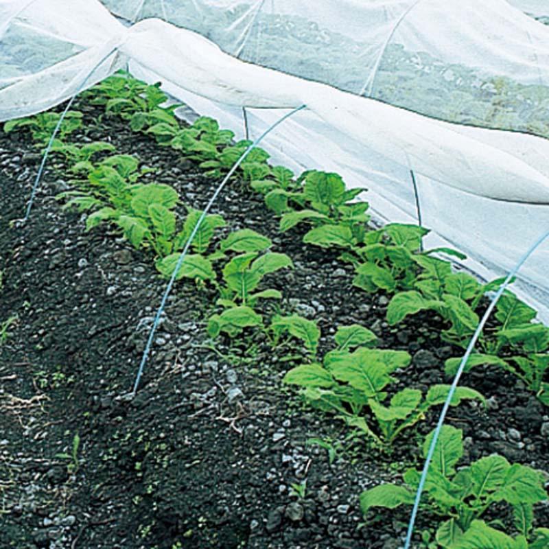 150cm×100m 白 遮光率23％ 寒冷紗 (テイジン・テトロン・エコペット使用) 遮光ネット ECO-300 タS 個人宅配送不可 代引不可 |  | 02