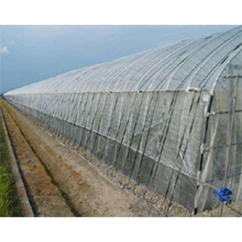 1.35m×100m ナチュラル タキイキラリネット E0806 ビニールハウス トンネル などに 防虫ネット タキイ種苗 代引不可 |  | 02