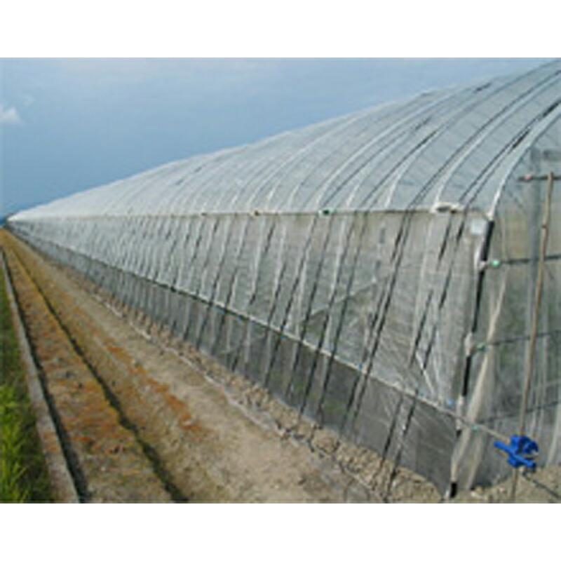 1.35m×100m ナチュラル タキイキラリネット E4040 ビニールハウス トンネル などに 防虫ネット タキイ種苗 代引不可 |  | 02