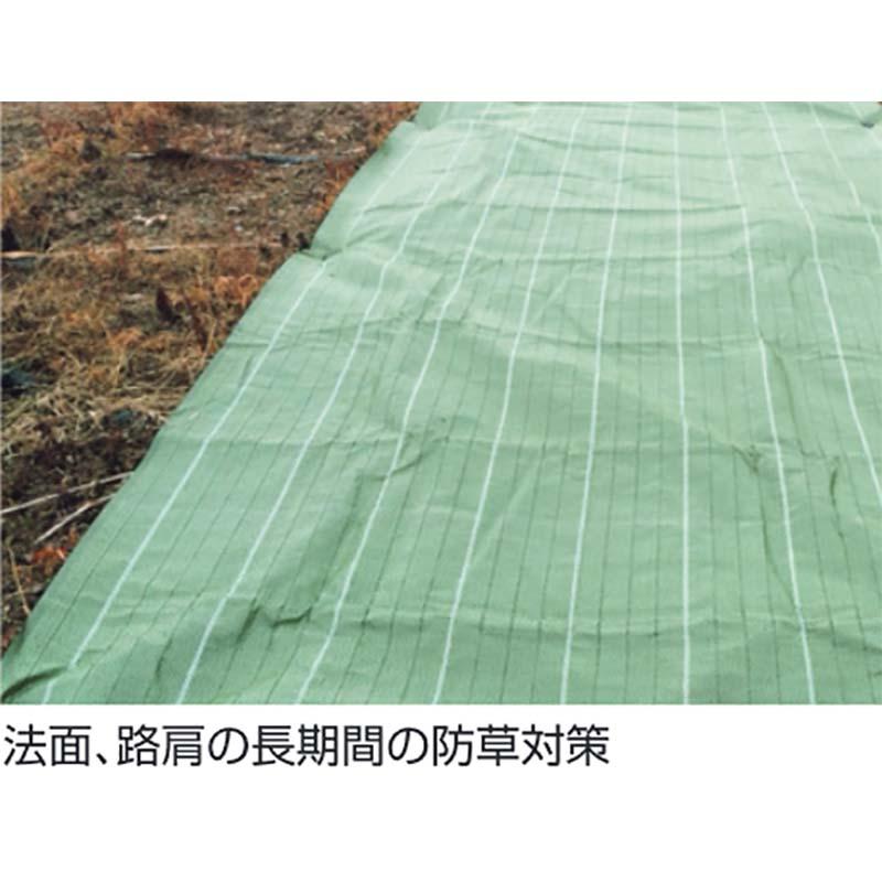 グランドバリアクロス-7 GBC-7 2.0×50m 7年耐候 防草シート 除草 雑草 防塵 防砂 防埃 対策などに 農業 園芸 太陽光発電 萩原工業 個人宅配送不可 代引不可 |  | 01