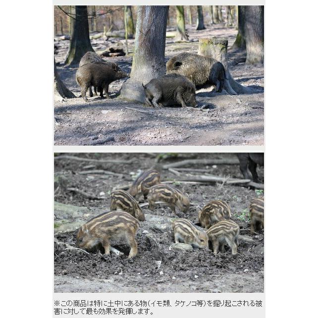 いのししペレット 2kg いのしし用忌避剤 いのしし対策 エーステクノロジー DZ |  | 03