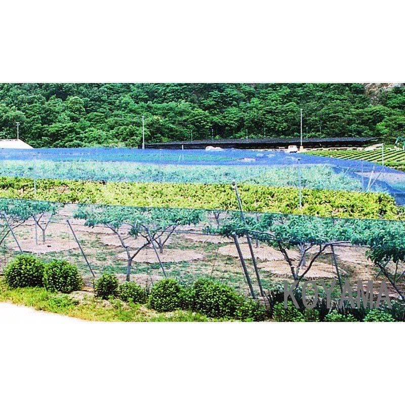 4本 国産 防鳥網 9m×54m サイド張り用 30mm 目合 1000デニール ブルー 防鳥ネット 鳥 対策 果樹園 田 畑 小商 北海道不可 代引不可 |  | 02