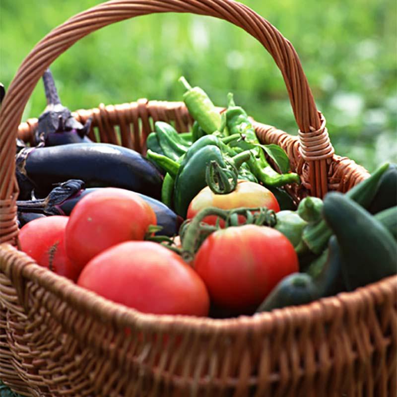 36巻 国産 荷造紐 シルバー PE玉巻ひも 300m TT-0930E 荷物 の 荷造り 梱包 紐 ロープ 信越工業 代引不可 |  | 01