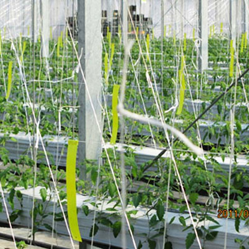 36巻 国産 荷造紐 シルバー PE玉巻ひも 300m TT-0930E 荷物 の 荷造り 梱包 紐 ロープ 信越工業 代引不可 |  | 02