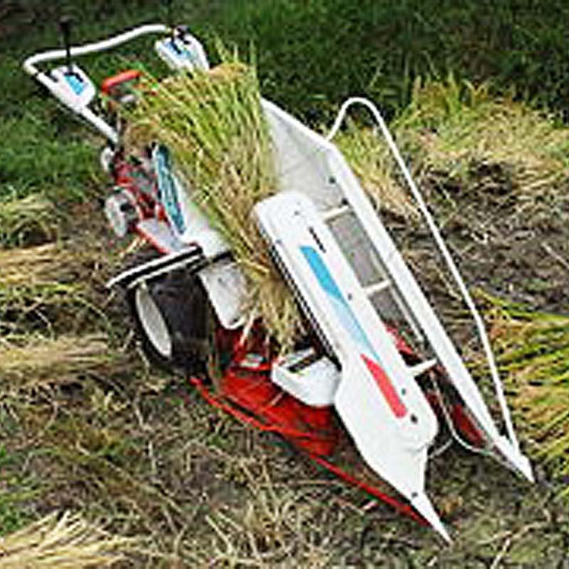 6巻 国産 荷造紐 白 SKバインダー紐 1000m PP #13 荷物 の 荷造り 梱包 紐 ロープ 信越工業 代引不可 |  | 01