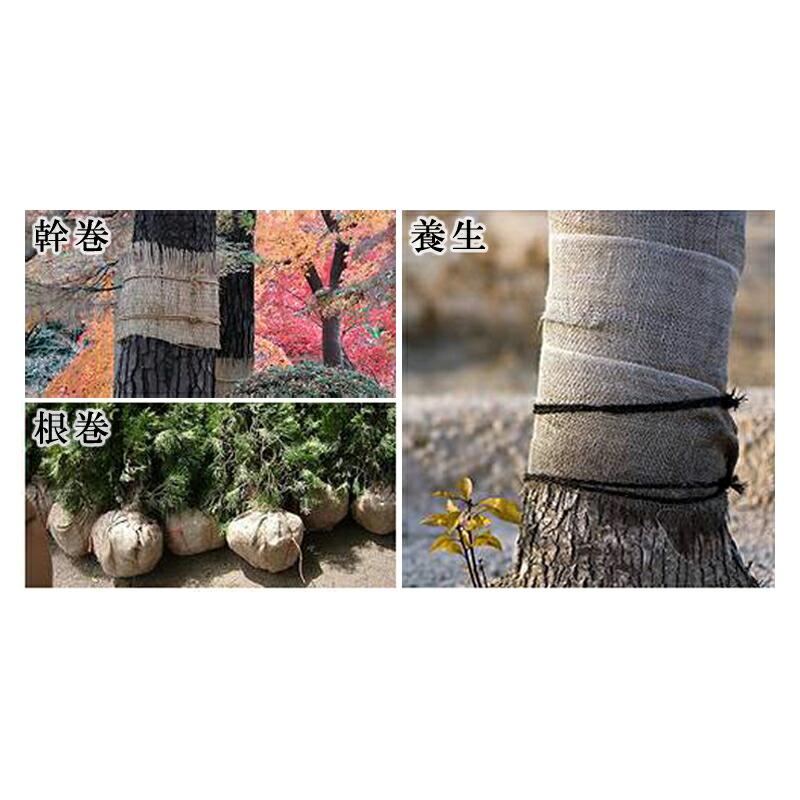 18巻 グリーンテープ 根巻 75cm×20m 早S 代引不可 |  | 01