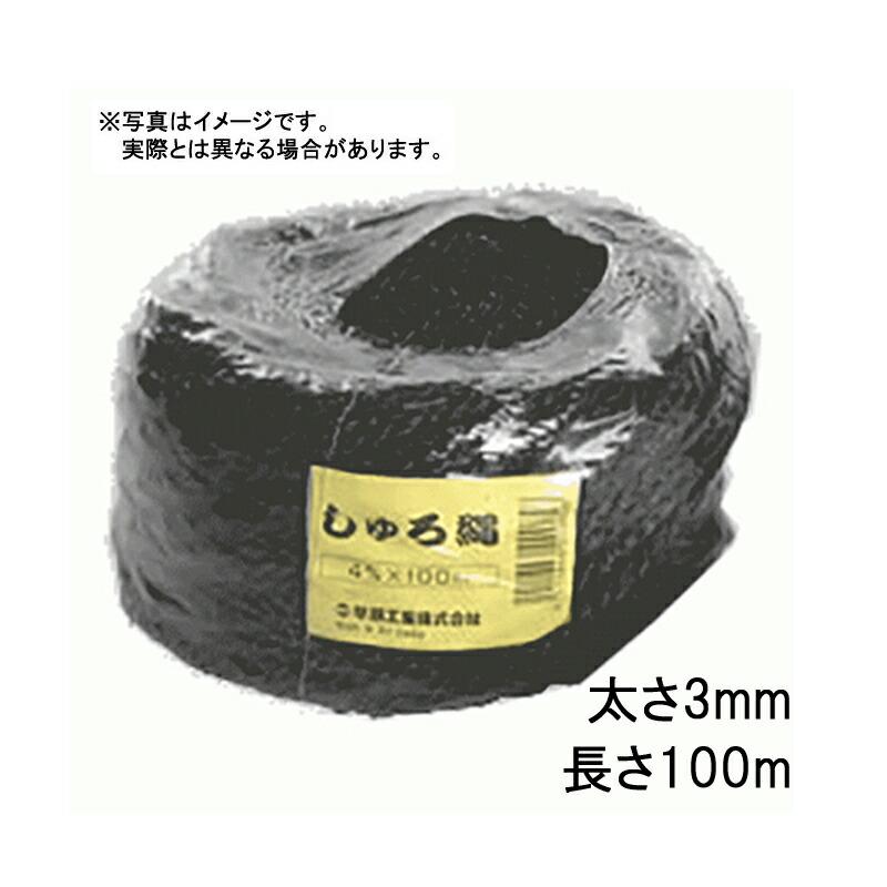 60玉 シュロ縄 黒 3mm×100m 早S 代引不可 | 